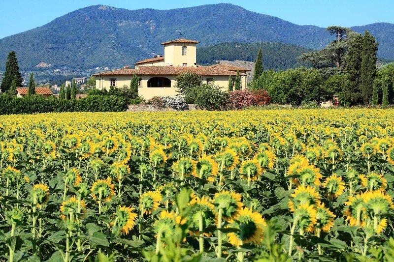 Hotel 500 Firenze Campi Bisenzio Kültér fotó